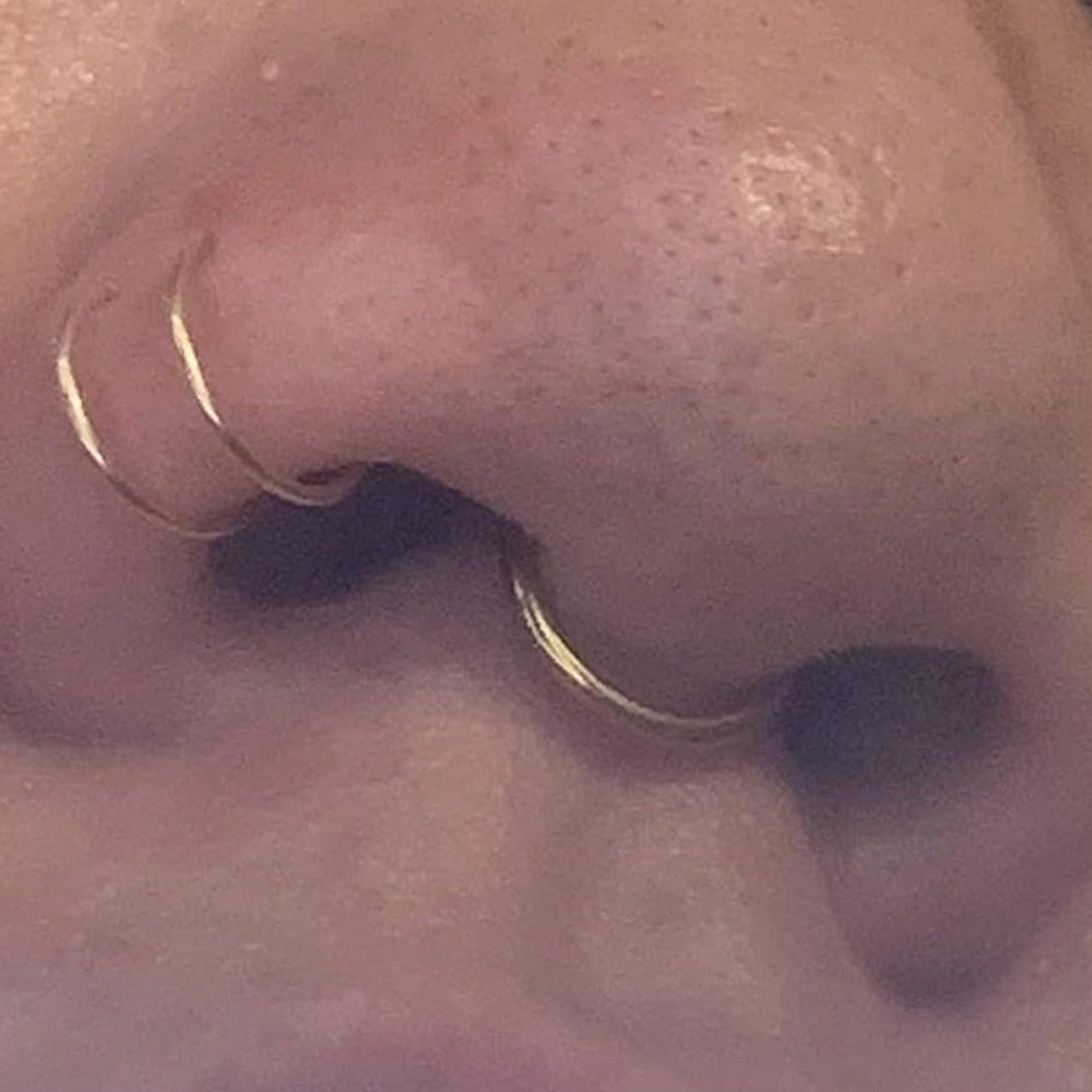 Anillos de nariz falsos, septu - Body Jewelry Nose Studs reseña y precio